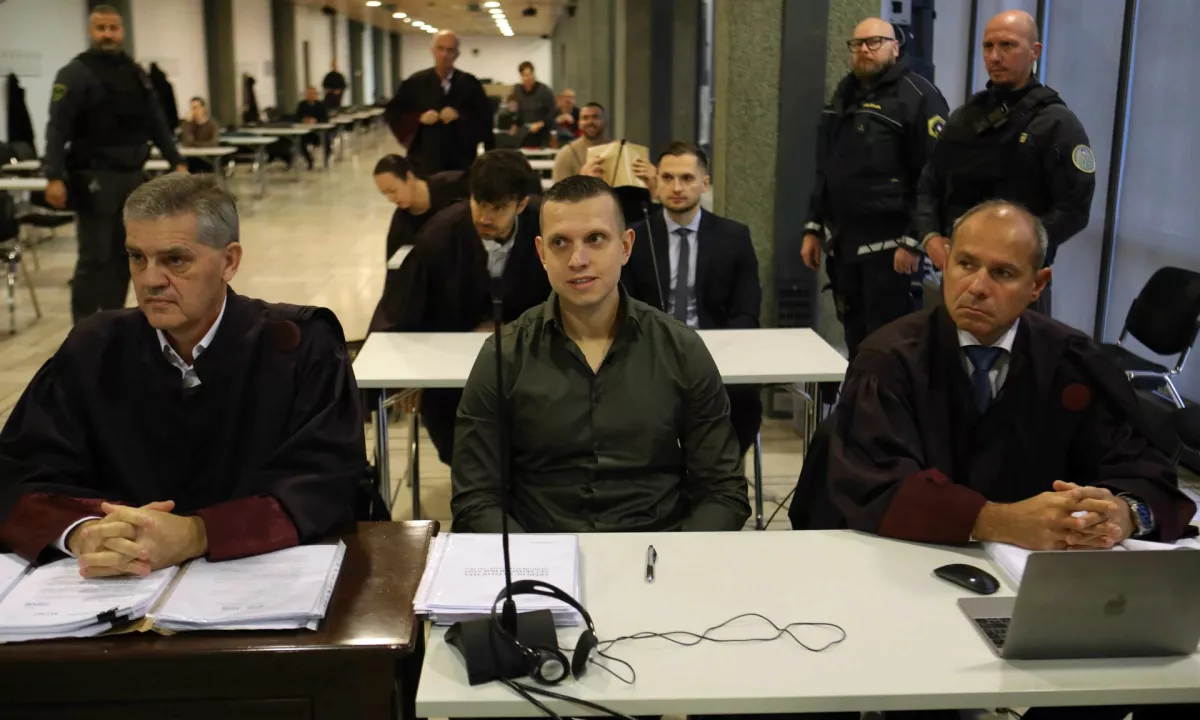 Pri odmeri kazni za umor Božića je sodišče upoštevalo, da škoda, ki je nastala z odvzemom mladega življenja, nikoli ne bo odpravljena.