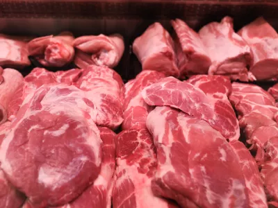 goveje meso- 10.03.2022 &acirc;&euro;" Trgovsko podjetje, v Ljubljani &acirc;&euro;" distribucijski center - skladiĹˇ&Auml;Ťenje suhega in sveĹľega blaga - ogled sprejema mesa v dristribucijskem centru in nadaljnje poti v verigi &acirc;&euro;" shranjevanje mesa in mesnih izdelkov - //FOTO: Bojan Velikonja