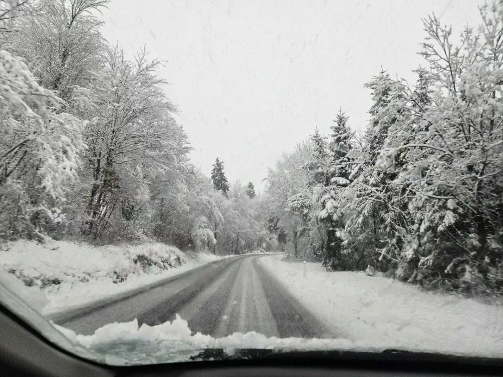 Stara cesta Postojna - Unec. Foto: Veronika Rupnik Ženko
