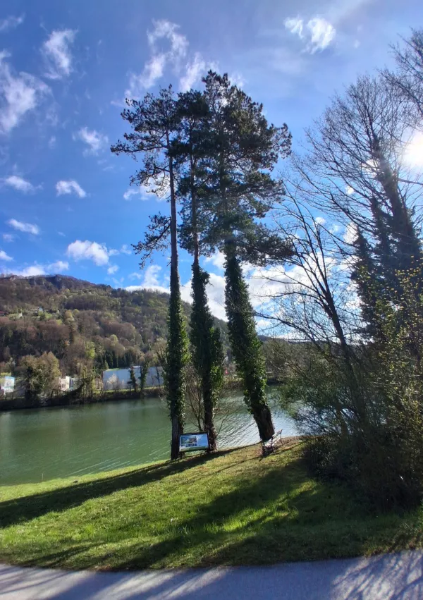 savus učna gozdna pot / Foto: Katja Petrovec