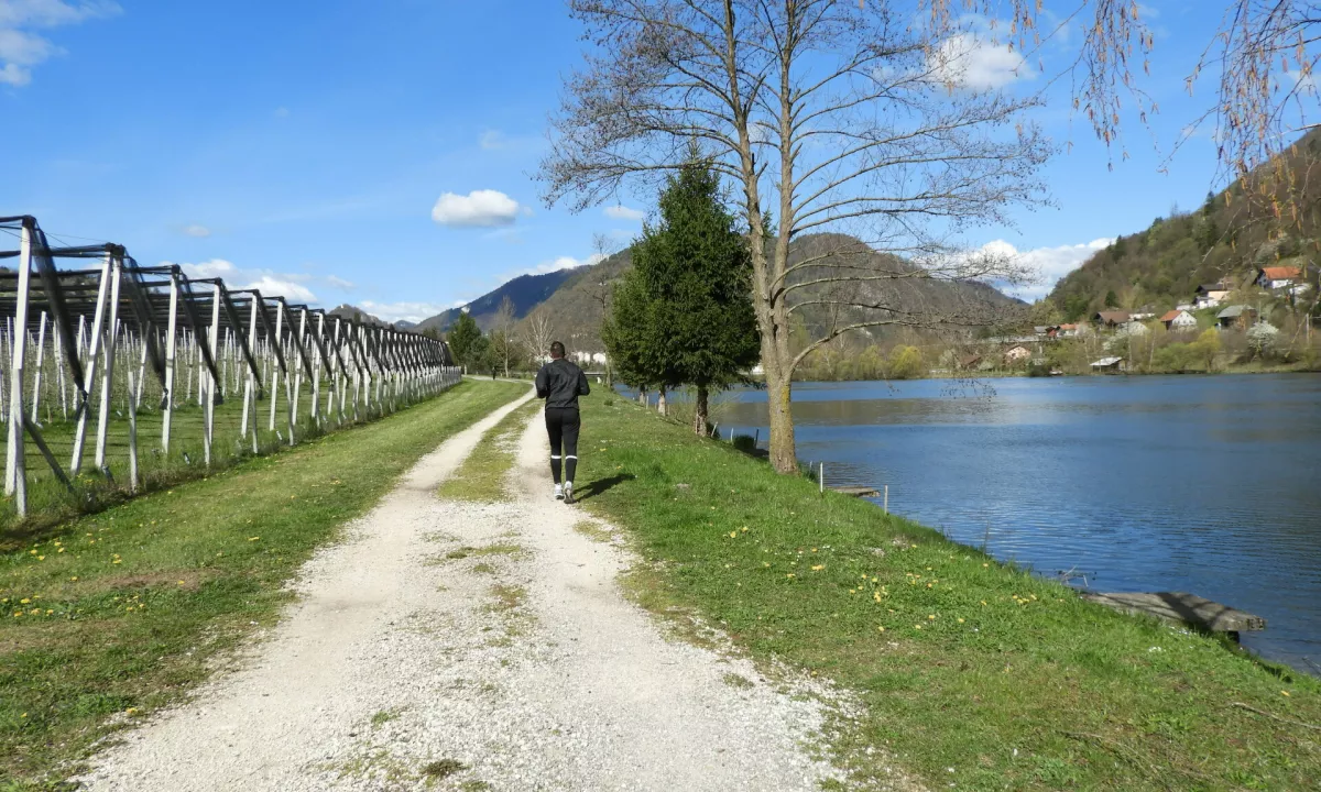 V Sloveniji imamo okoli 700 različnih tematskih poti, ki so skupno dolge 5600 kilometrov, 140 je gozdnih učnih poti.