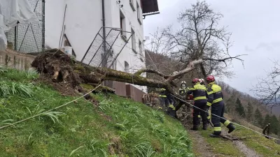 Močan veter je ruval drevesa. Foto: PGD Cerkno