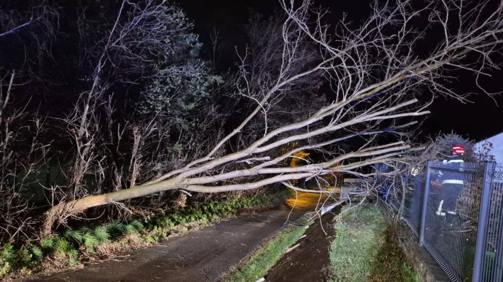 Foto: PGD Hotinja vas