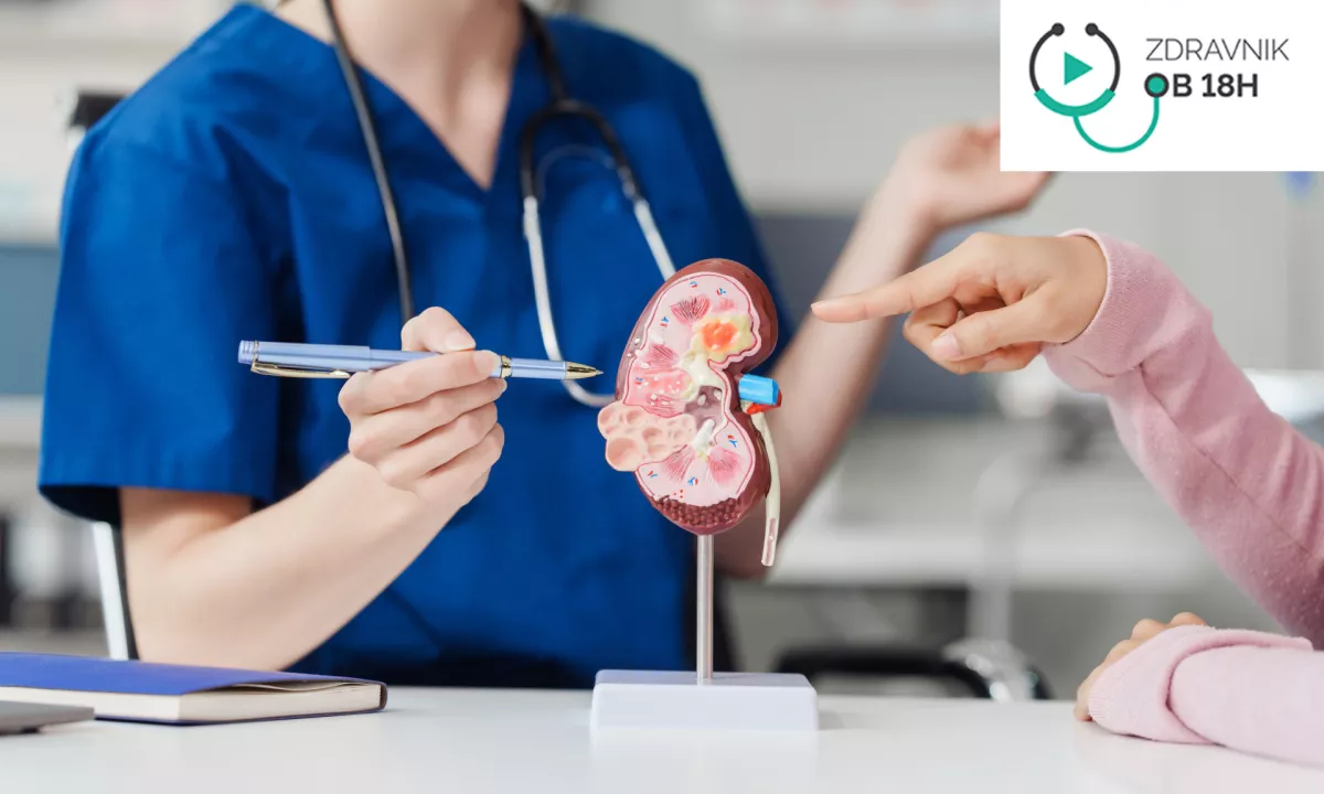 Tihi heroji našega telesa: Vsak dan vztrajno filtrirajo kri, uravnavajo ravnovesje tekočin in elektrolitov ter bedijo nad našim krvnim tlakom.