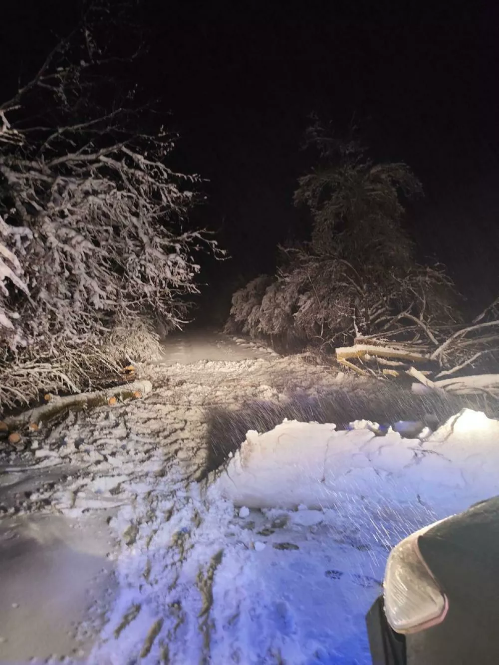 Re&scaron;evalna akcija za ujeto družino. Foto: HGSS