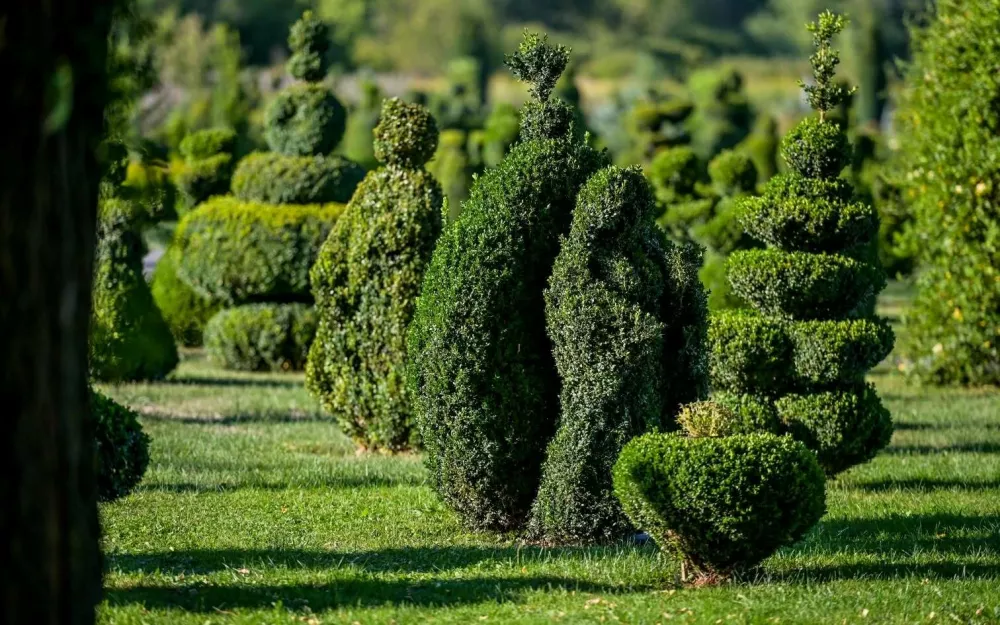 Topiary park v Sračincu pri Varaždinu. Vir: IG
