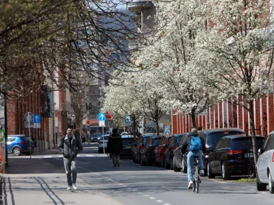 24.03.2026 -simbolična fotografija - pomladFoto: Tomaž Skal