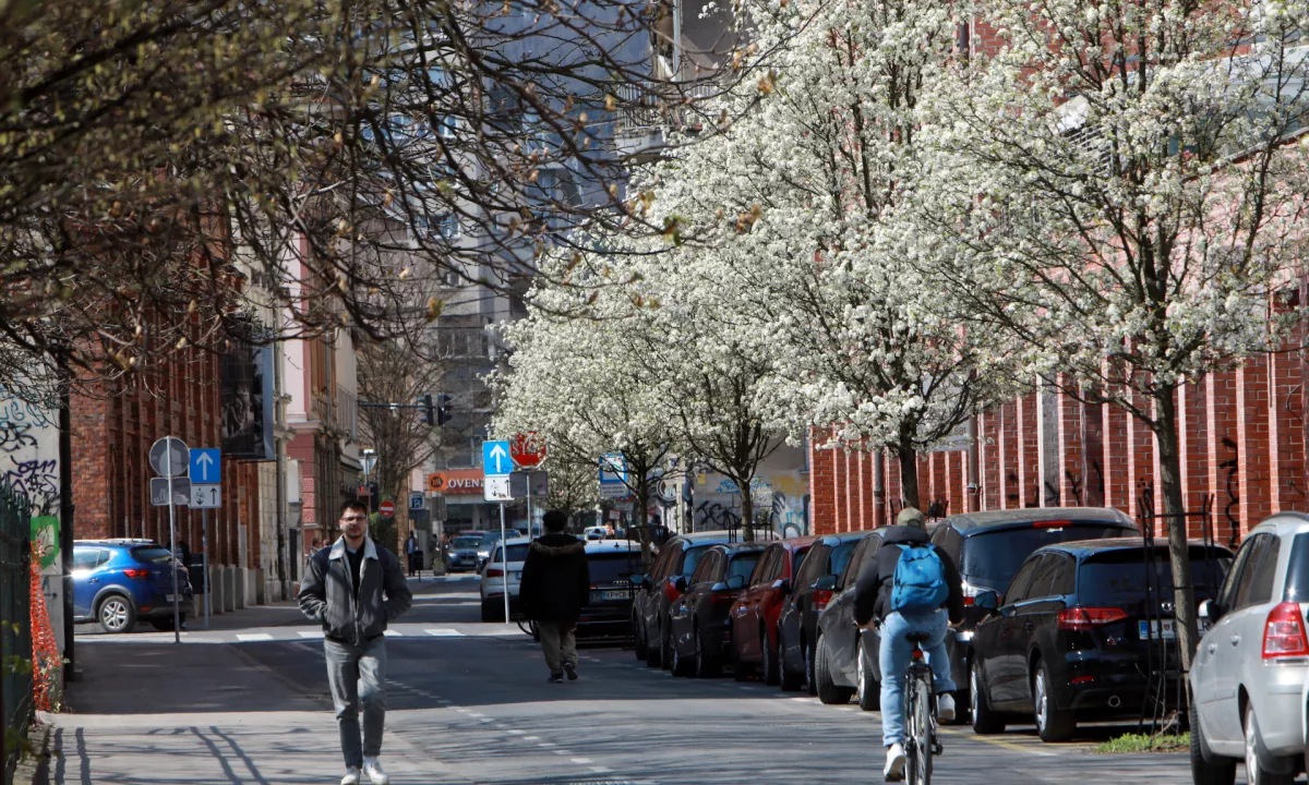 Predlagana določila bodo zviševala kakovost, varnost bivanja in zdravje prebivalcev Ljubljane, vendar bodo zviševala tudi stroške projektov.