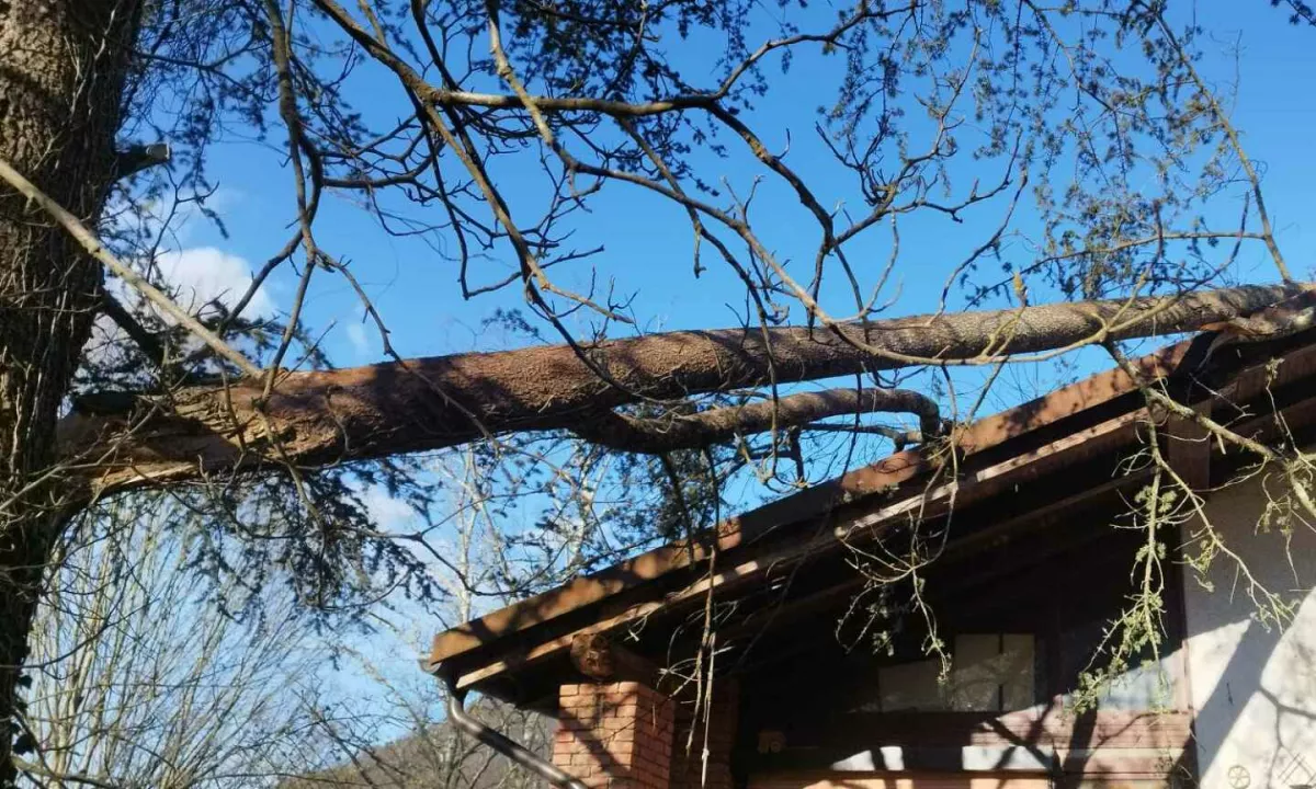 Bomo popoldan že lahko brez jakne?