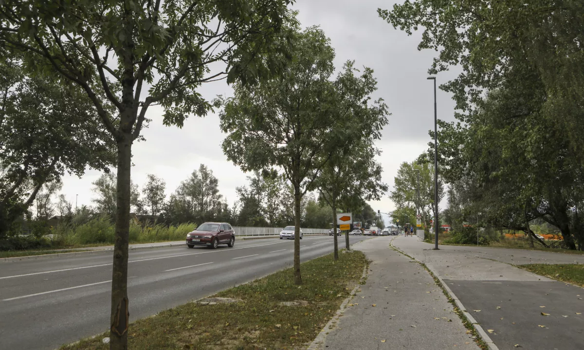 ‼️(PROMET) Dela bodo potekala na daljšem odseku med nadvozom nad južno ljubljansko obvoznico in Ziherlovo ulico.