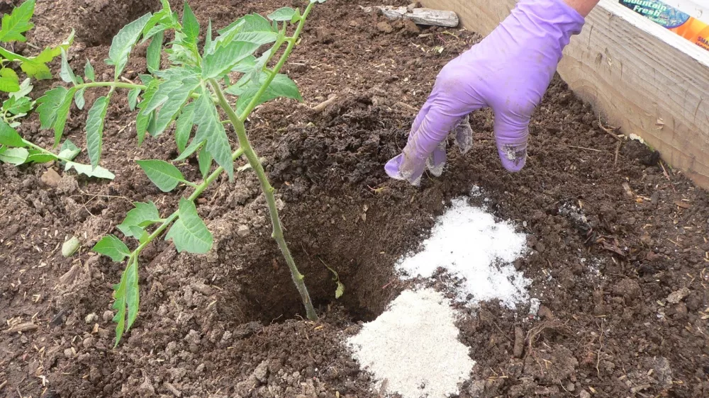 Eposomska sol, naravno gnojilo