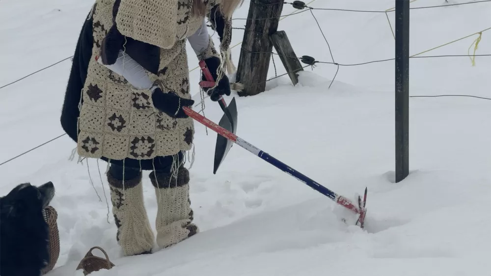 Znani nominiranci za nagrado za mlade umetnike