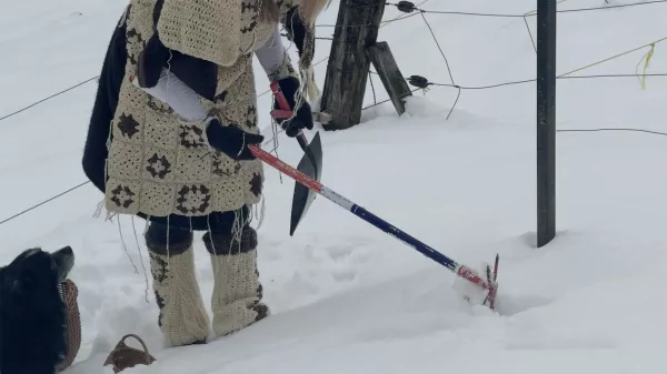 Znani nominiranci za nagrado za mlade umetnike