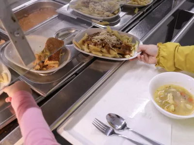 Bodo splo&scaron;ne smernice prehranjevanja podlaga za veganski obrok v &scaron;olah?