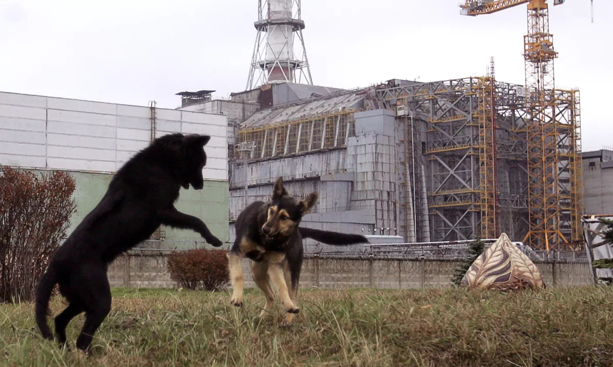 Raziskovalci v radiološki coni odkrivajo izjemne evolucijske preskoke.