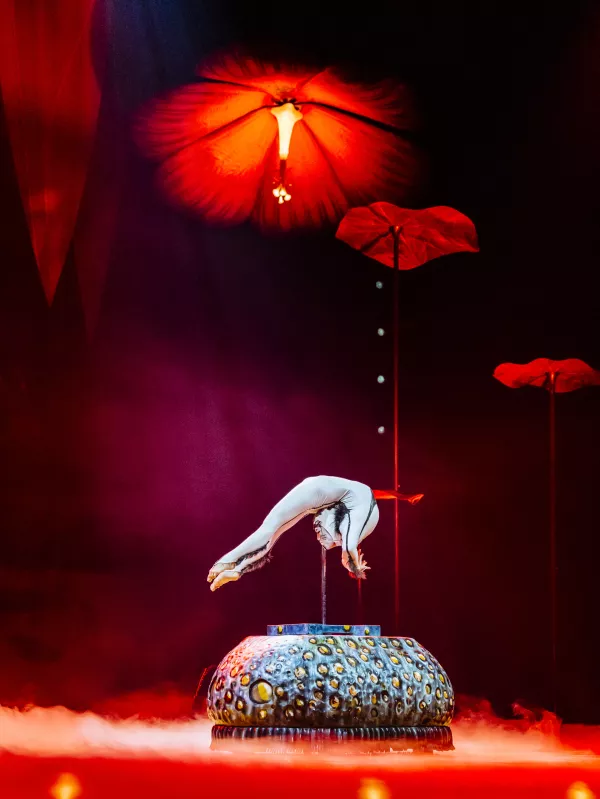 Spektakel, ki bo v Stožice pri&scaron;el z 21 priklopniki