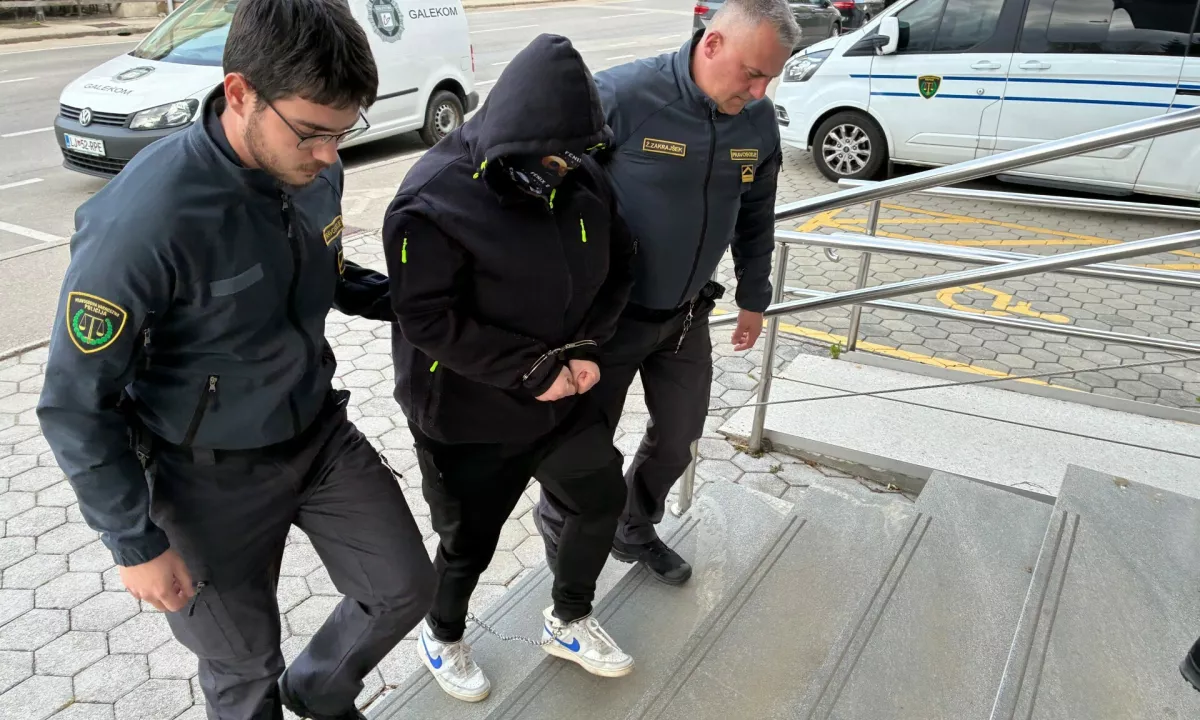 Kocjančič trdi, da tega v »zavednem stanju« ne bi storil. Bil naj bi močno zaljubljen, veselil se je njene selitve in skupnega življenja.