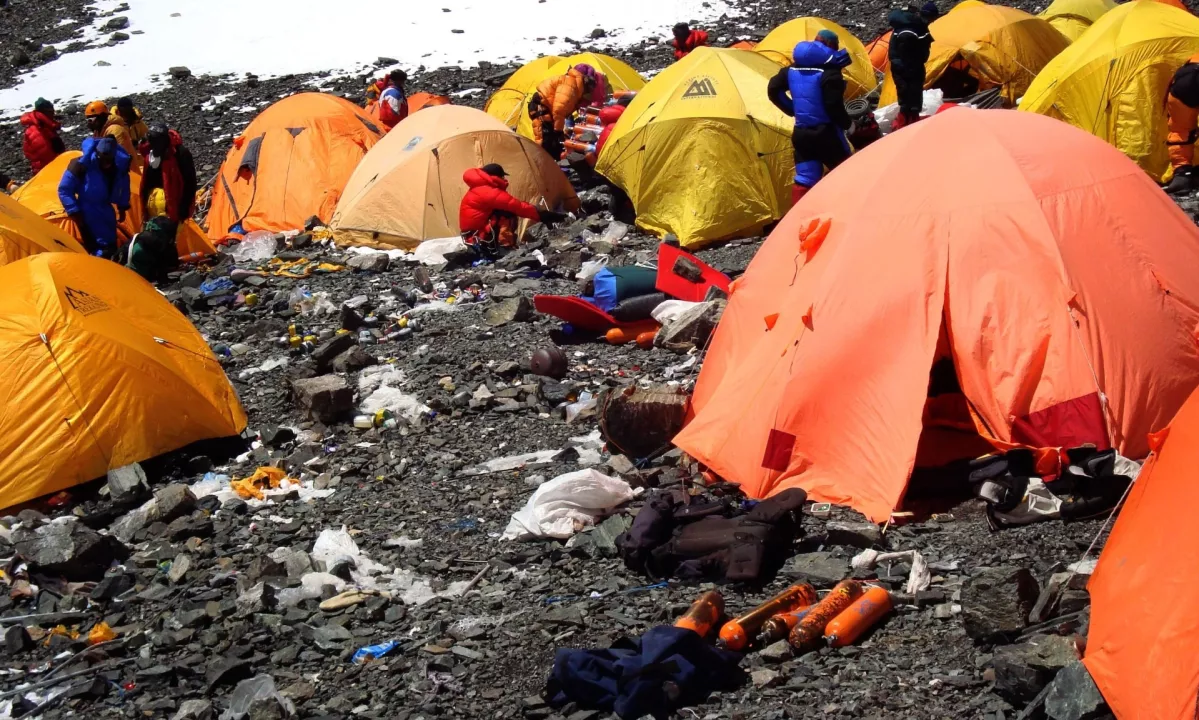 V hrano so jim dajali sodo bikarbono.