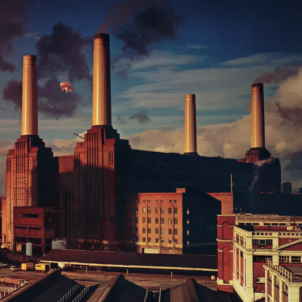 Pink Floyd, Animals1977 / Foto: Nn