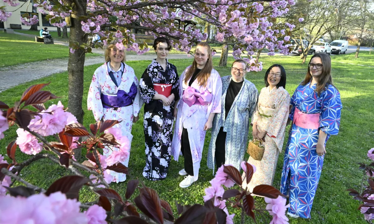 Pomlad ima v Ljubljani veliko obrazov, a le redko se razpre tako tiho in hkrati tako pomenljivo kot med cvetenjem japonskih češenj.