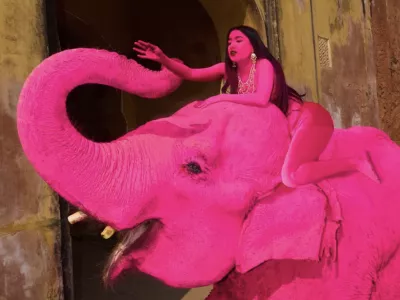 Umetnica je povedala, da slon v nobenem trenutku ni bil ogrožen. Foto: zajem zaslona X