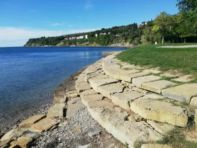 Ankaran - slani travnik