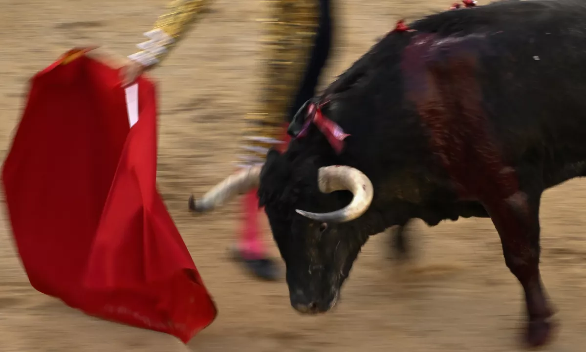 V Malagi je v tragični nesreči med pripravami na bikoborbo umrl 51-letni upokojeni bikoborec.