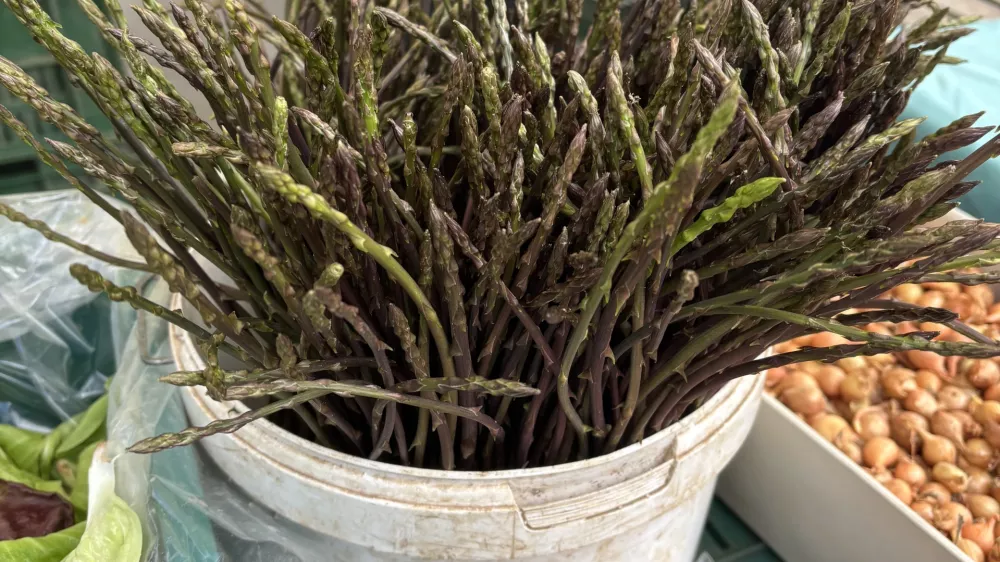 &Scaron;parglji, nabrani med trnjem in kačami