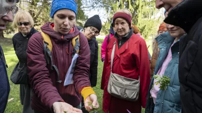 01.04.26 - Botanični ogled po Tivoliju - botanika Foto: Nik Erik Neubauer 