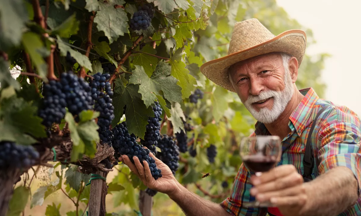 Številne študije so potrdile jasno povezavo med močnimi družbenimi vezmi in daljšim življenjem, zato jih velja ohranjati.