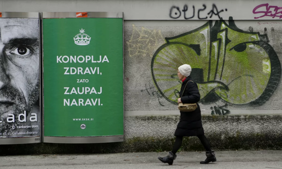 Pri tesnobi je konoplja dvofazna, kar pomeni, da pri nizkih  odmerkih tesnobo običajno lajša, pri višjih pa jo lahko potencialno  poslabša. Zato je pomembno, da pri uporabi medicinske konoplje začnete  počasi in z majhnimi odmerki.