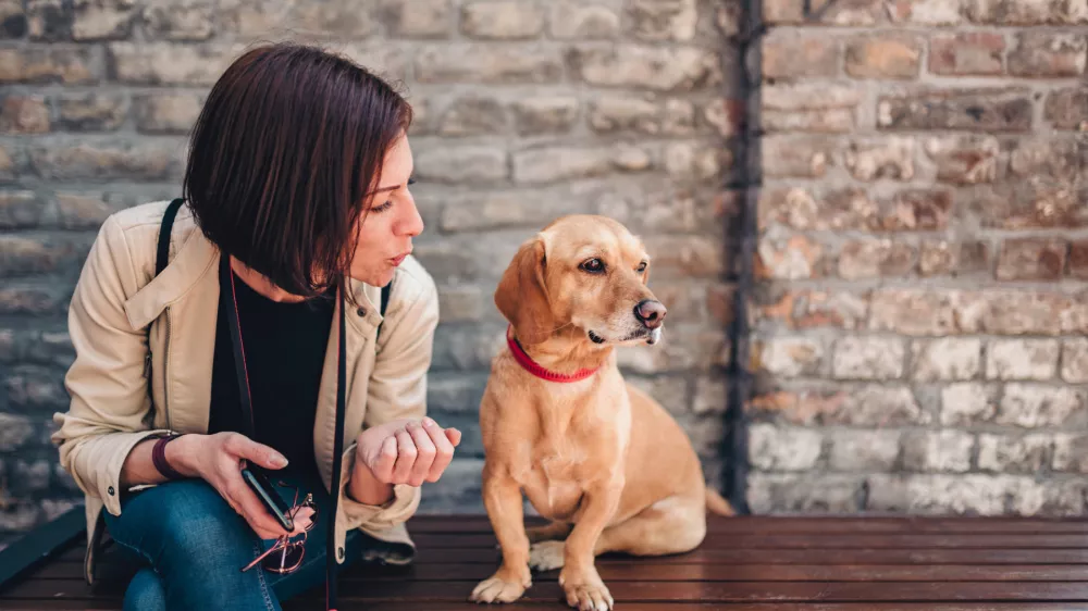 Žival lahko iz na&scaron;ega glasu razbere, kak&scaron;ni so na&scaron;i nameni. / Foto: Istock