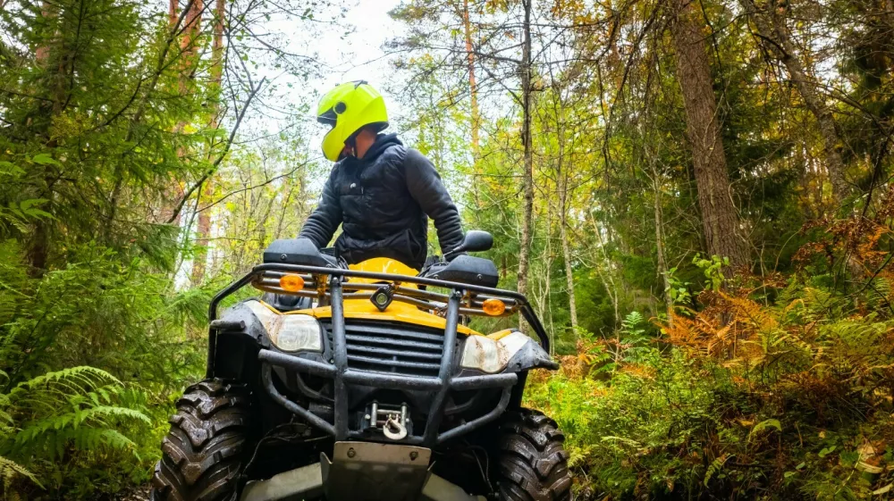 Oglasi z vožnjami v gozdu lahko spodbujajo kr&scaron;itve