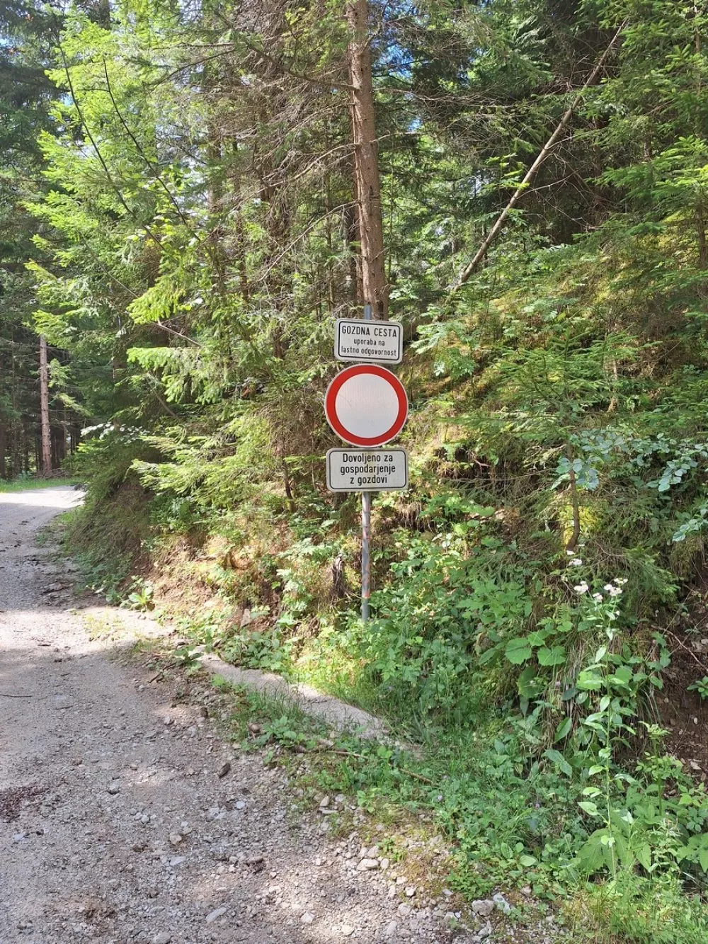 Oglasi z vožnjami v gozdu lahko spodbujajo kr&scaron;itve