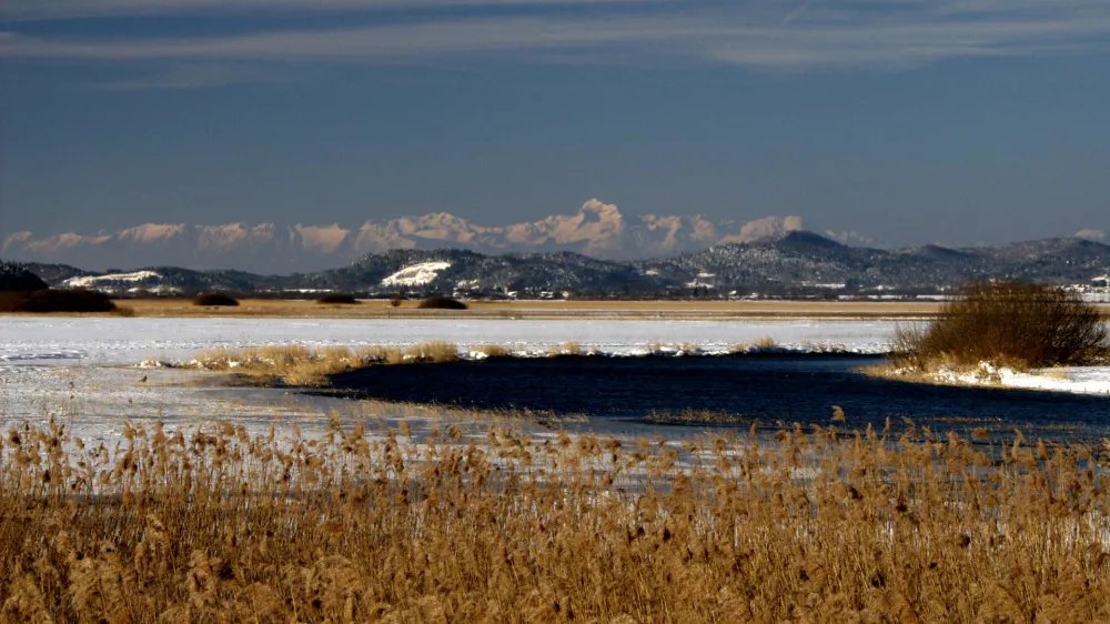 Cerkni&scaron;ko jezero mokri&scaron;ča