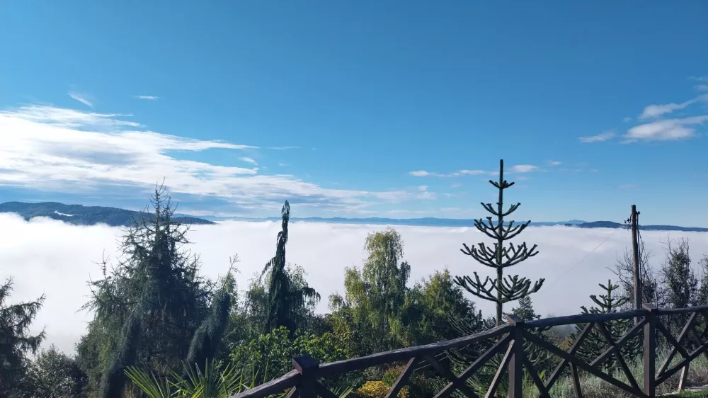 Vrt Zeleni raj Dol pri Litiji