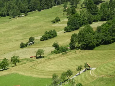 poko&scaron;eni travniki vas Strži&scaron;čeBa&scaron;ka grapa