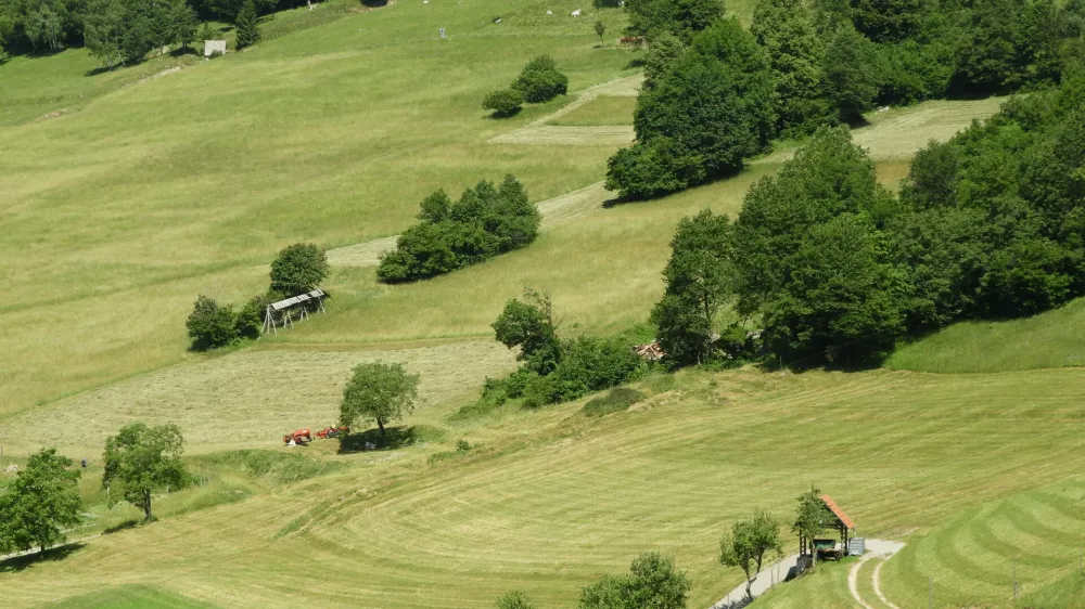 poko&scaron;eni travniki vas Strži&scaron;čeBa&scaron;ka grapa