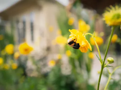 Pustimo travi, da zacveti! / Foto: iStock