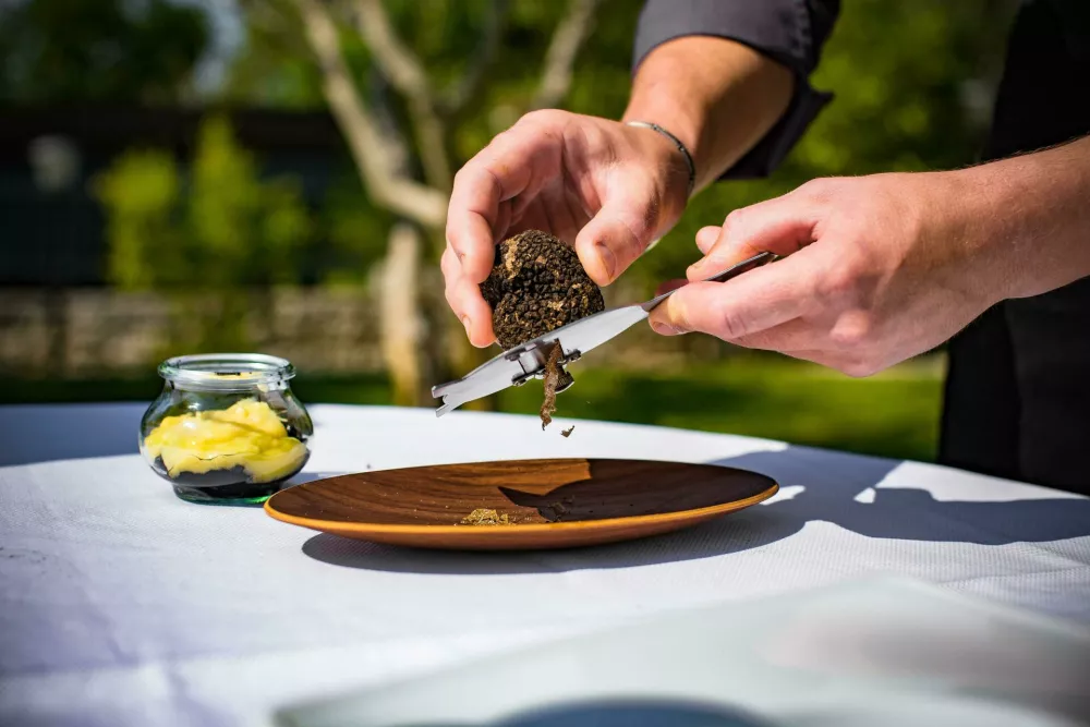 Istrski tartufi F Ivo Biocina