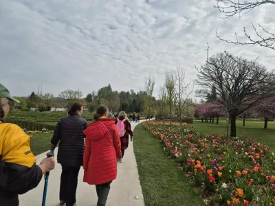 Pot za spomin je dolga približno tisoč metrov. Za osebo z demenco ali za nekoga na invalidskem vozičku so pe&scaron;čene poti lahko nepredvidljive in nevarne, zato je glavna programska pot betonska. / Foto: Meta Černoga