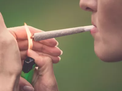 &Scaron;tevilo uporabnikov kanabisa po svetu raste. / Foto: Istock