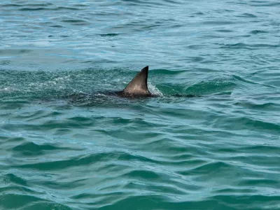 Slika je simbolična. / Foto: Istock