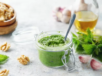 Vegetarian nettle, garlic and walnut pesto. Close up of jar of homemade nettle pesto with walnuts and garlic. / Foto: Gojak Getty Images/istockphoto