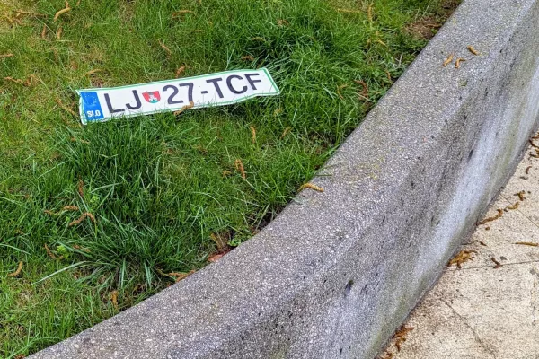 Tale revica se je zna&scaron;la na trati v centru mesta. / Foto: Bralec