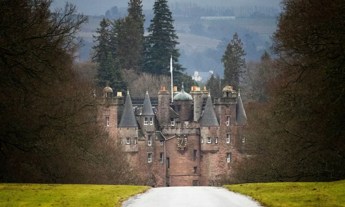 Steklenice vina, ki so jih pred stotimi leti zavrgli kot preveč trpke za pitje, danes dosegajo vrtoglave cene.