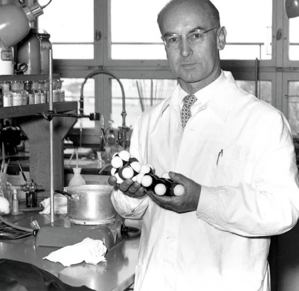 kemik Albert Hofmann 