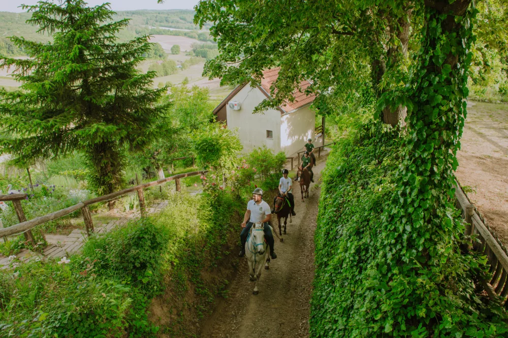 Jahanje v Bilogori (Foto: CNTB)
