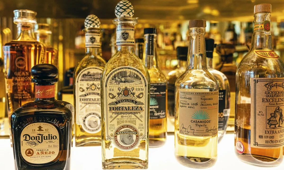 Turistka, ki se je udeležila križarjenja in v all-inclusive baru spila 14 tekil, je po streznitvi vložila tožbo zoper ladjarja.