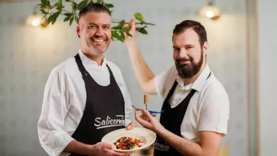 Salicornia Koper / Foto: Salicornia Koper